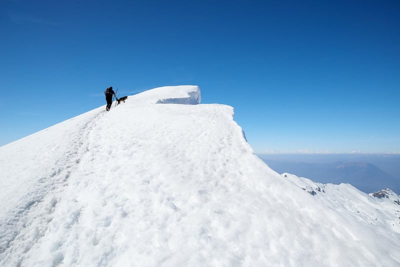 Pacific Crest Trail